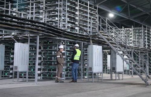A sustainable crypto mining farm powered by solar panels