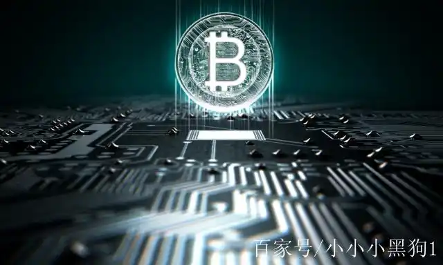 A large scale crypto mining farm.